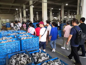 熱烈歡迎玉立金華團(tuán)隊(duì)蒞臨工廠參觀與技術(shù)交流