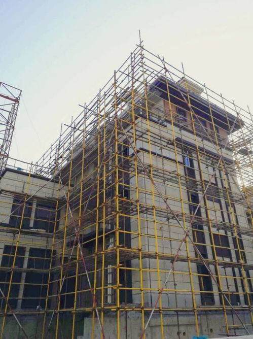 實況播報 保利建工 西郊錦廬12月現場實況