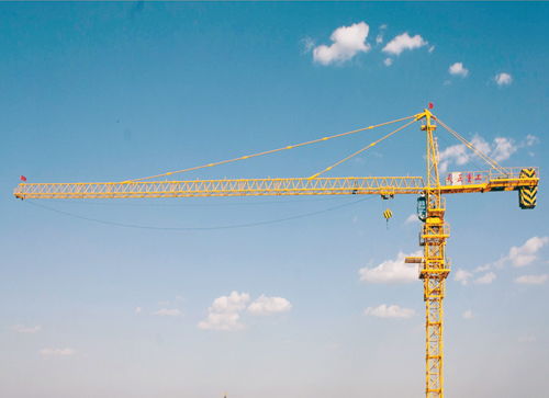 濰坊塔吊司機(jī)證去哪里考 哪個(gè)部門頒發(fā)的比較好用