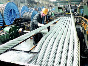 畢節(jié)市人民政府門戶網(wǎng)站