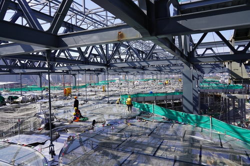 進(jìn)入歷史重大工程投資強(qiáng)度最高年，上海加大推進(jìn)力度的三種路徑