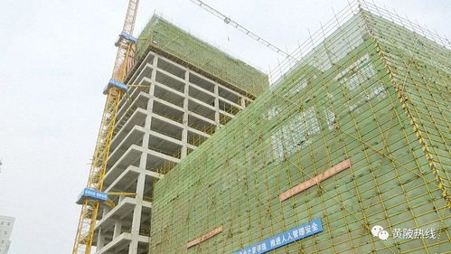 黃陂區(qū)融媒體中心大樓主體工程順利封頂，二期建設(shè)即將全面展開